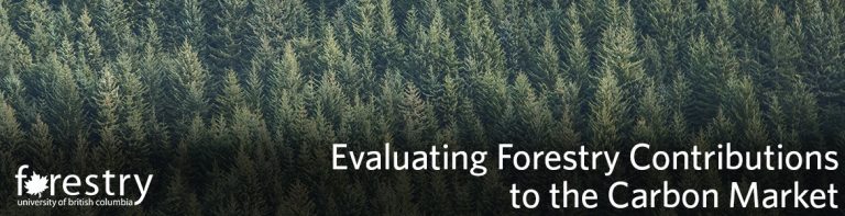 European Union Emissions Trading Scheme | Evaluating Forestry ...